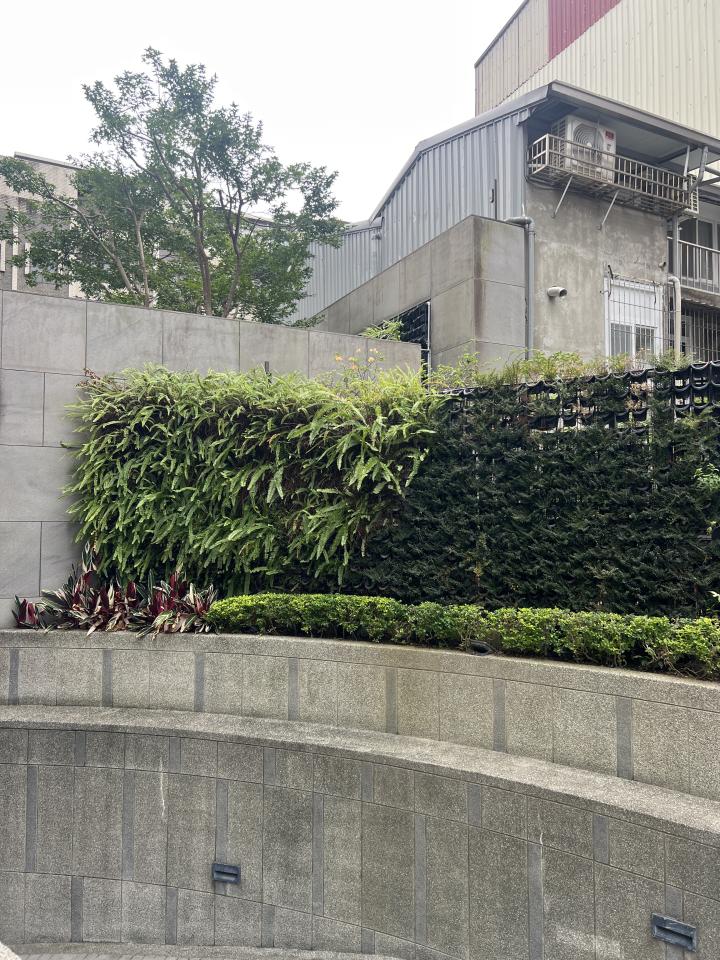 園藝維護案件圖片