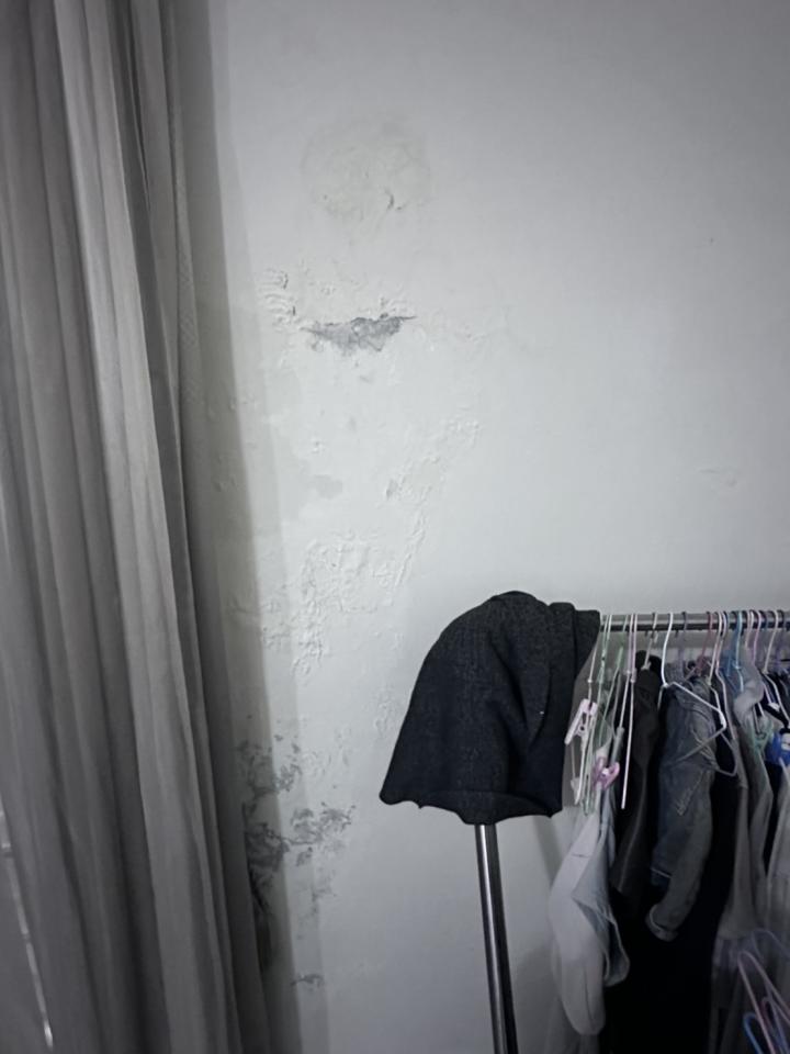 抓漏案件圖片