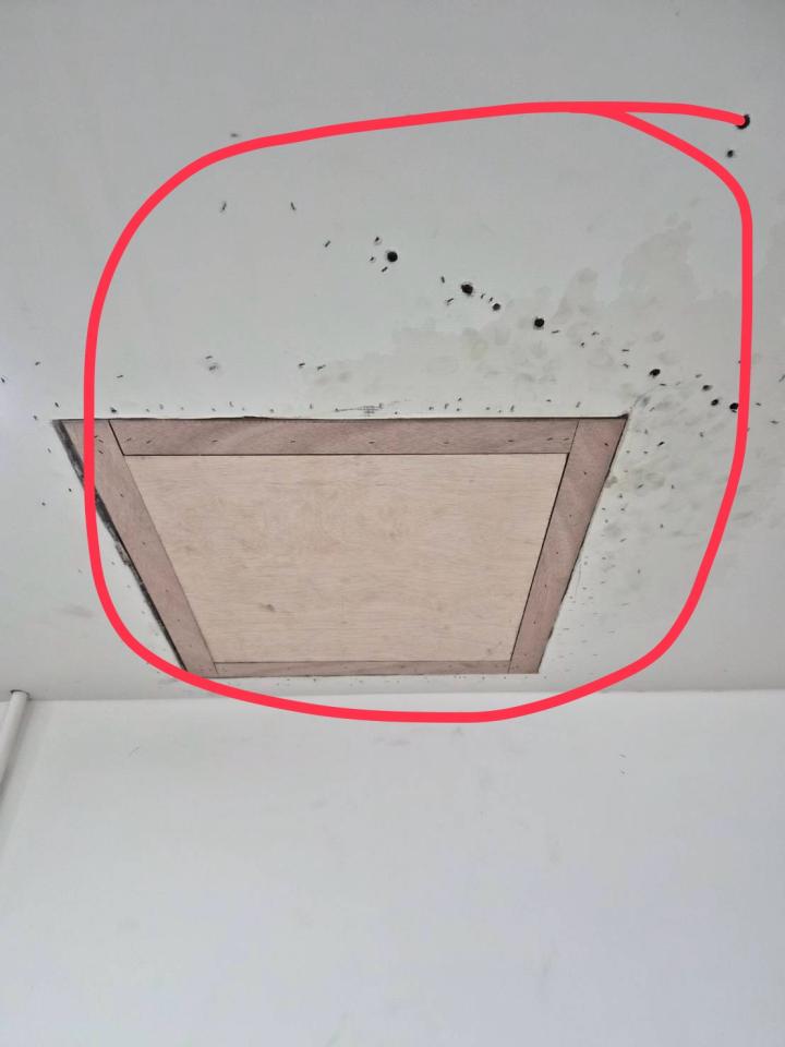 批土案件圖片