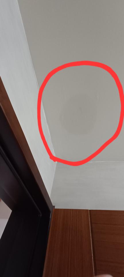 漏水處理案件圖片