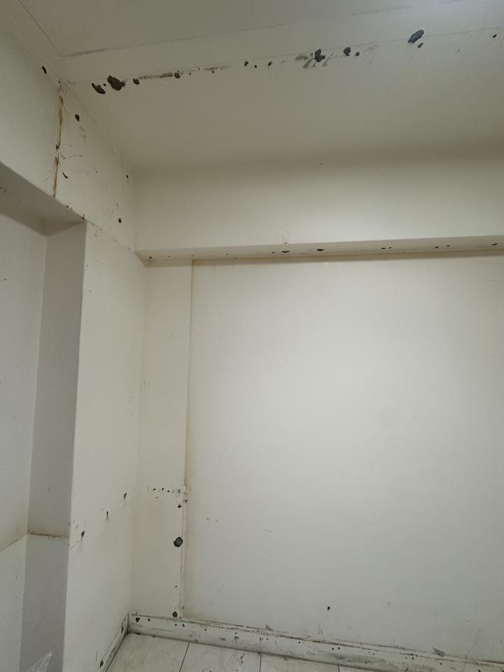 油漆工程案件圖片