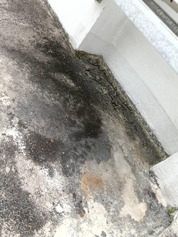 屋頂防水案件圖片