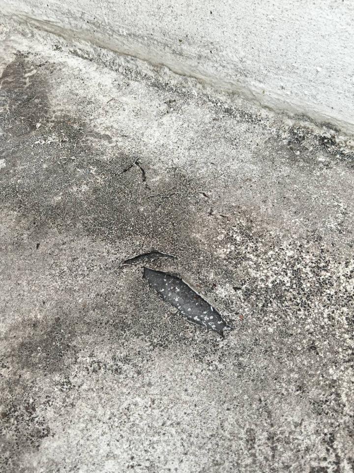 屋頂防水案件圖片