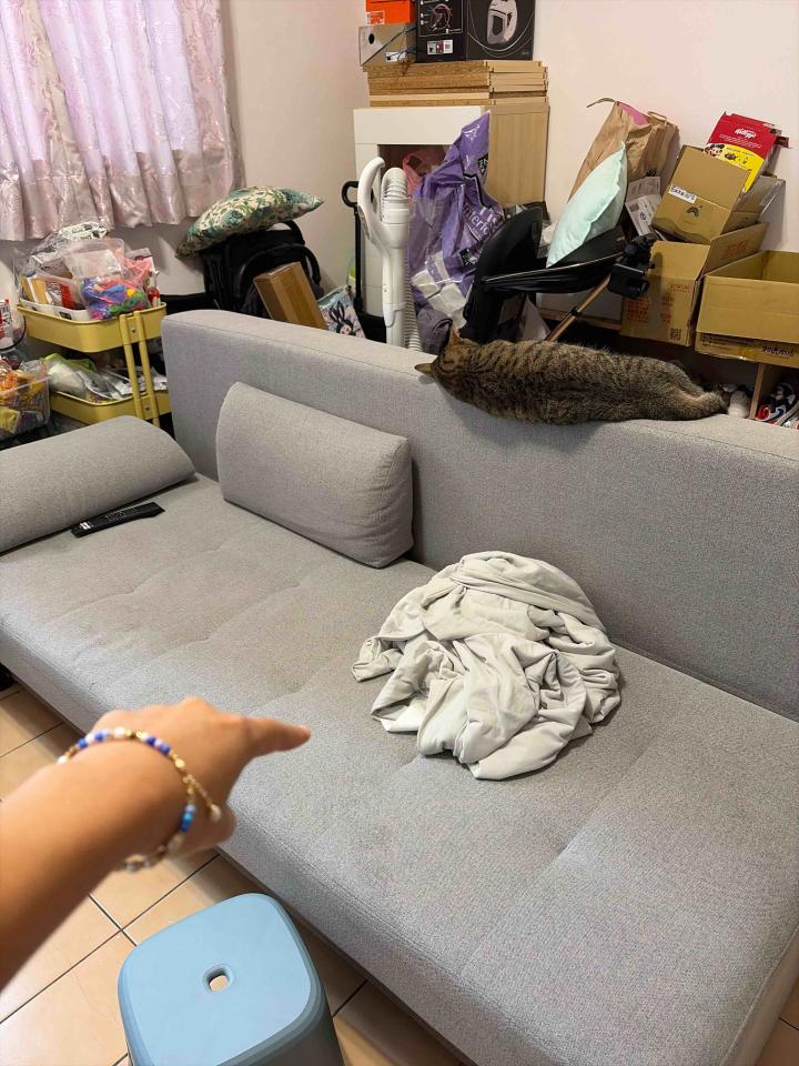 搬家案件圖片