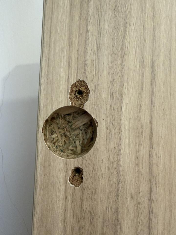 家具維修案件圖片