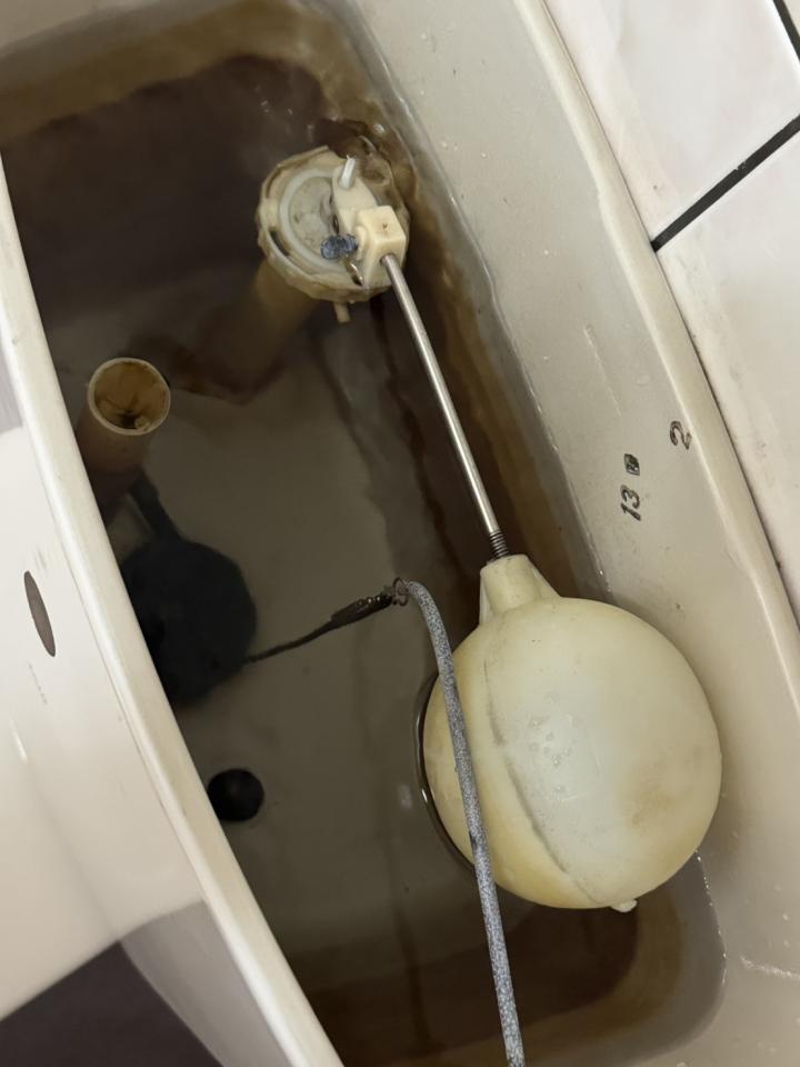 馬桶裝修案件圖片
