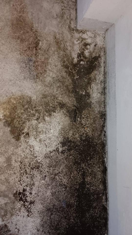 屋頂防水案件圖片