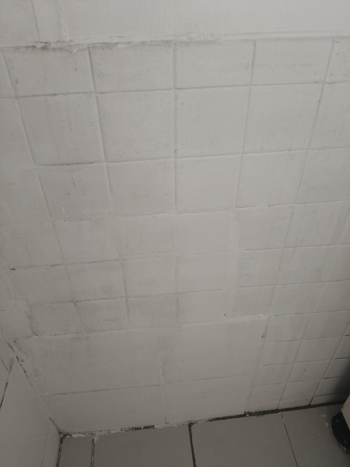 油漆工程案件圖片