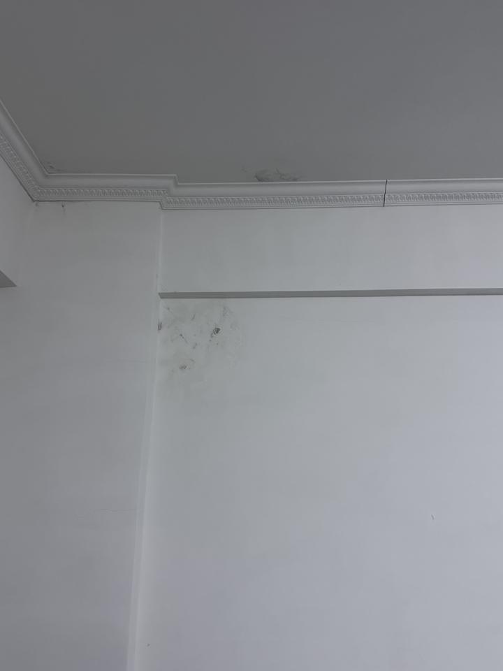 抓漏案件圖片