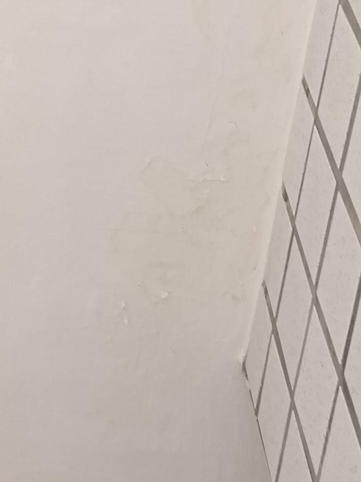 屋頂防水案件圖片
