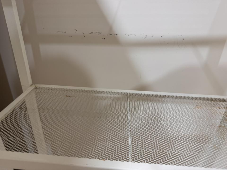 油漆工程案件圖片