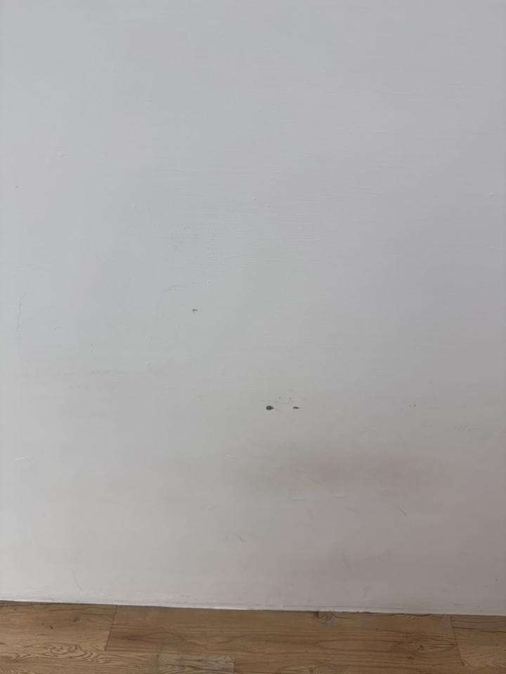 油漆工程案件圖片