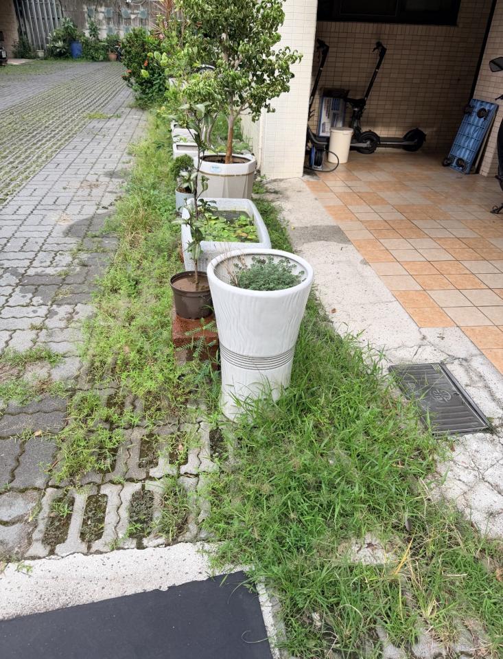 園藝維護案件圖片