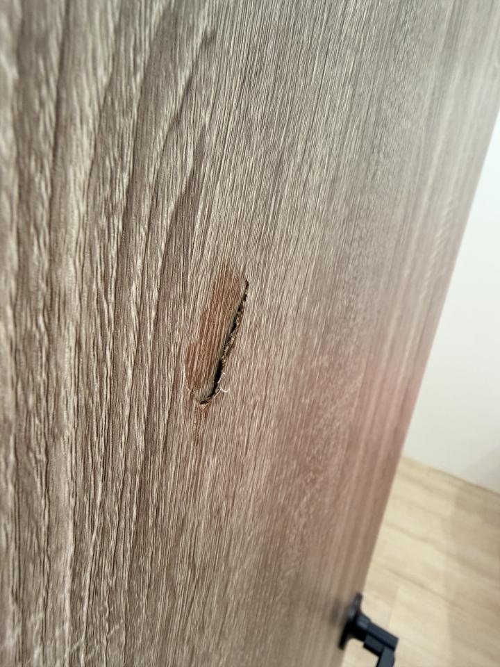 木門案件圖片