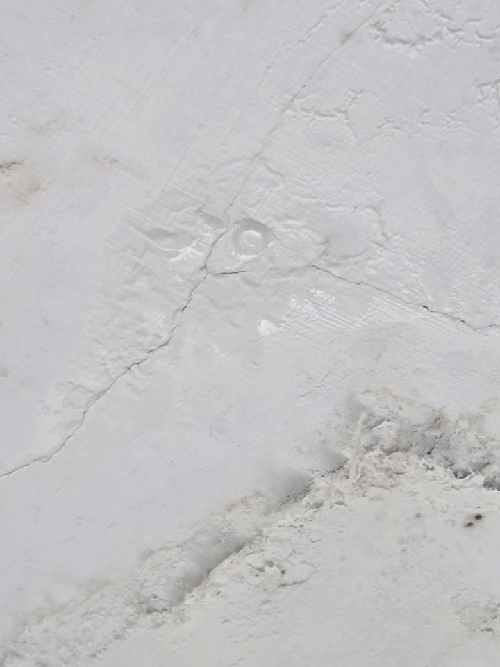 抓漏案件圖片