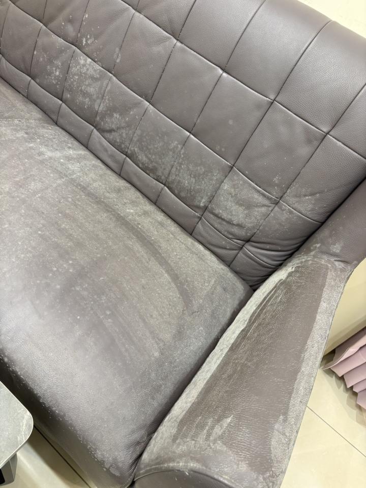 沙發清潔案件圖片