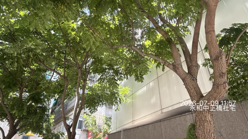 園藝維護案件圖片