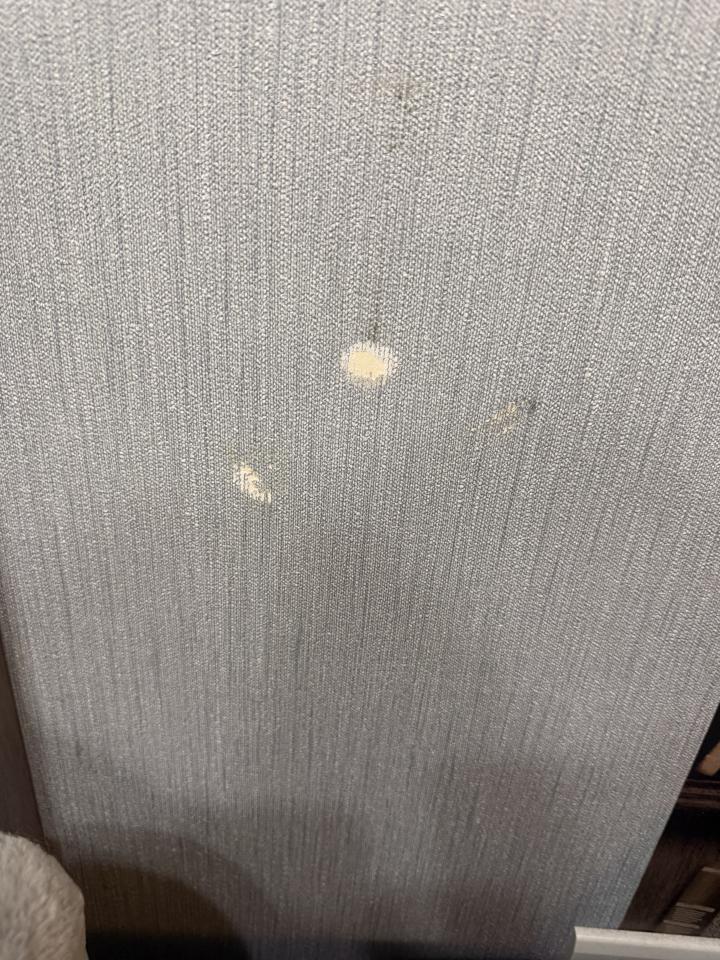 壁紙施工案件圖片