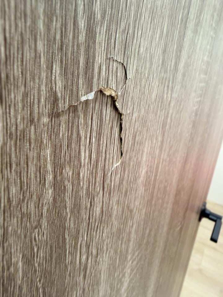 木門案件圖片