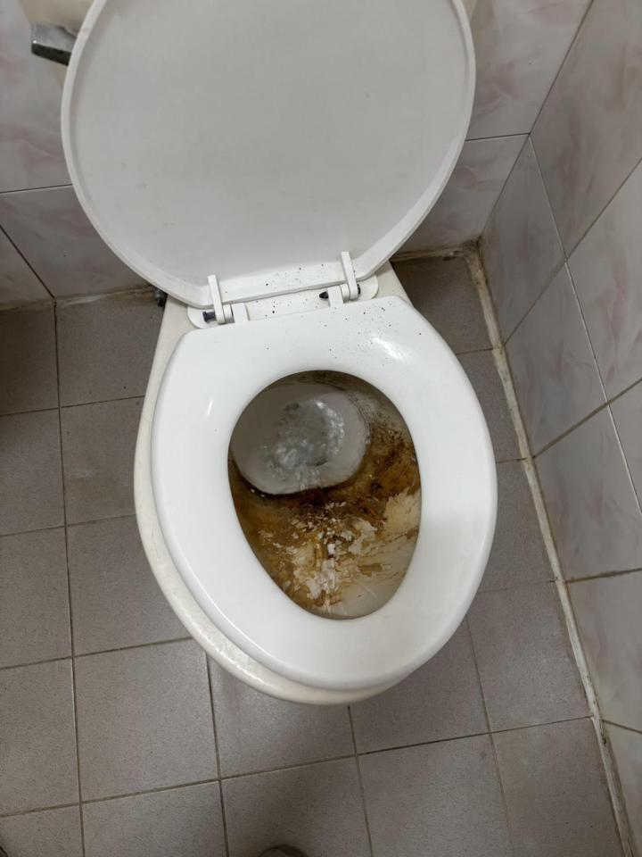 馬桶裝修案件圖片