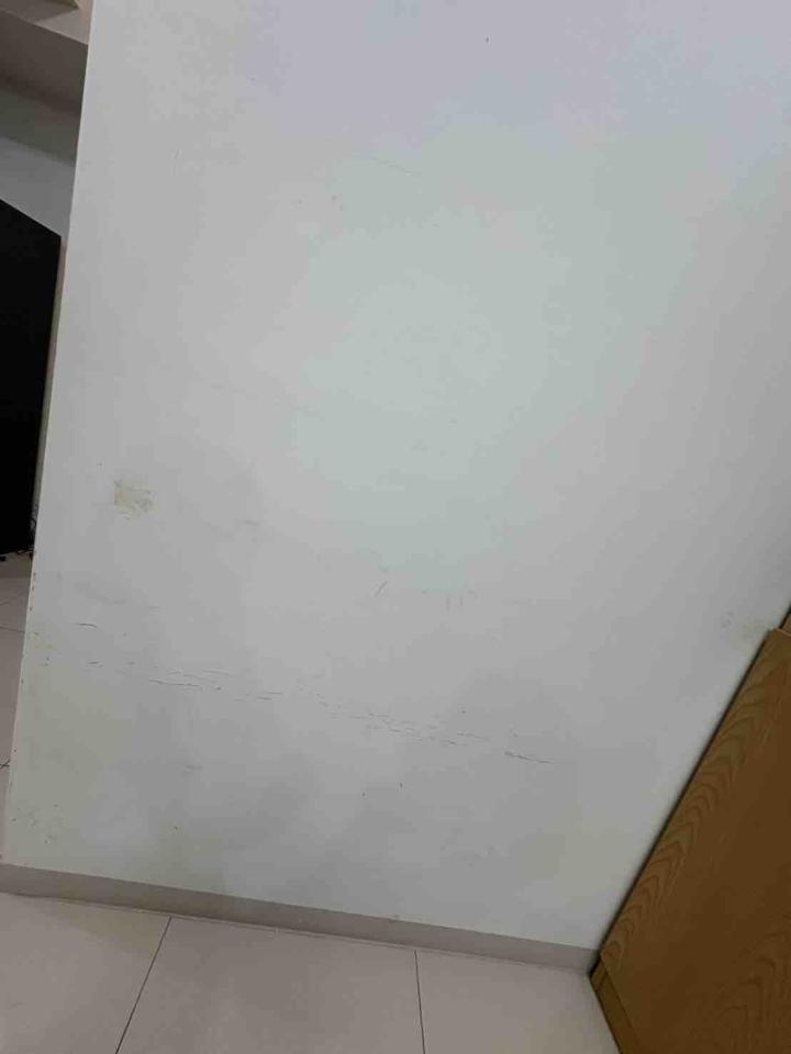 油漆工程案件圖片