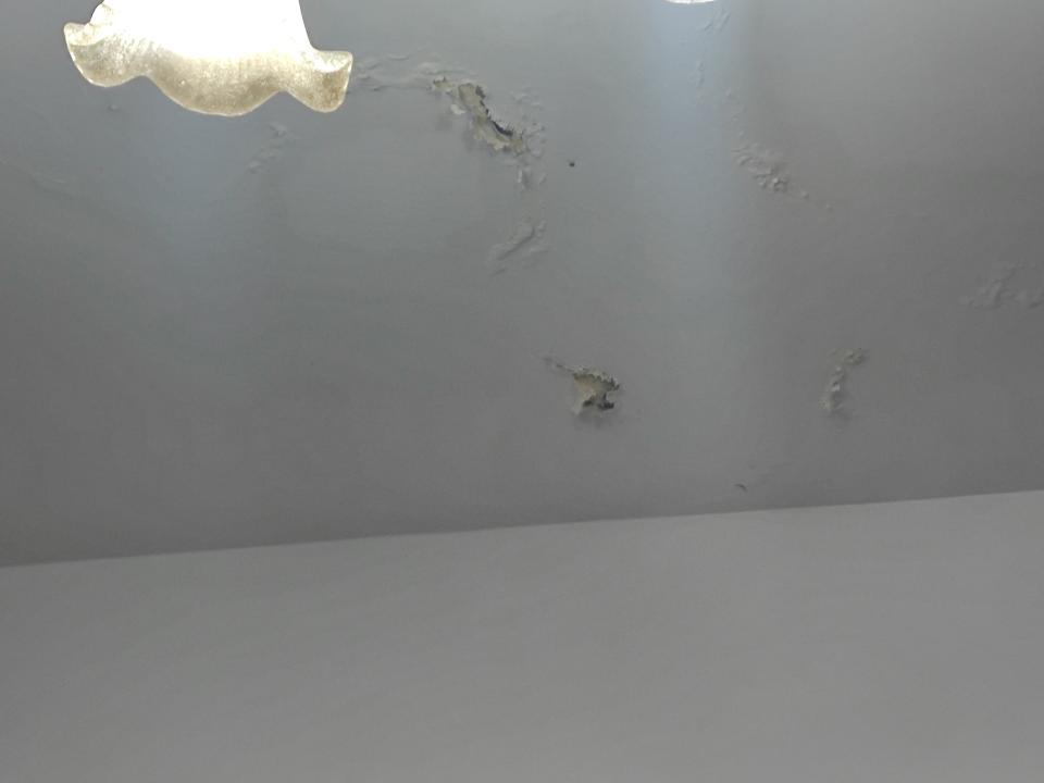 抓漏案件圖片