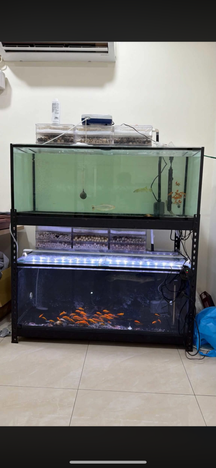 家具搬運案件圖片