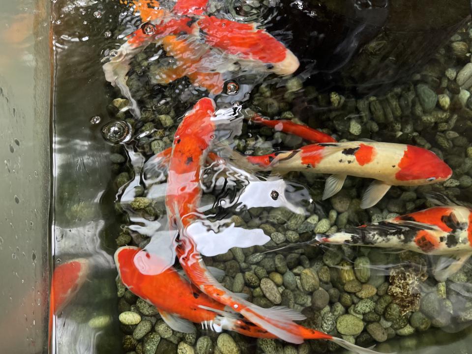 搬家案件圖片