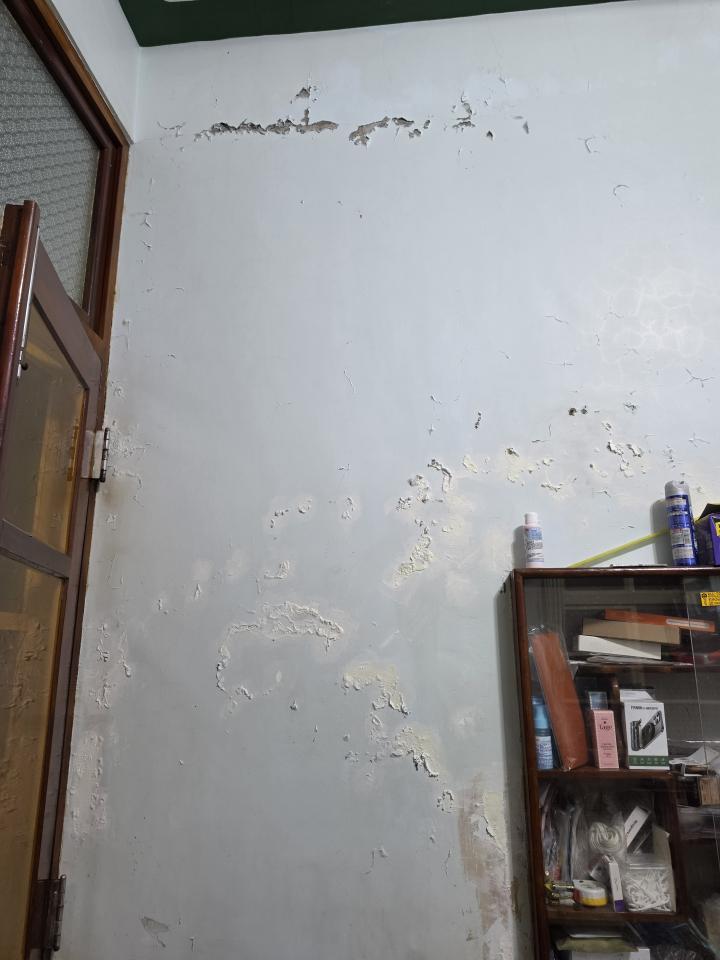 壁癌處理案件圖片