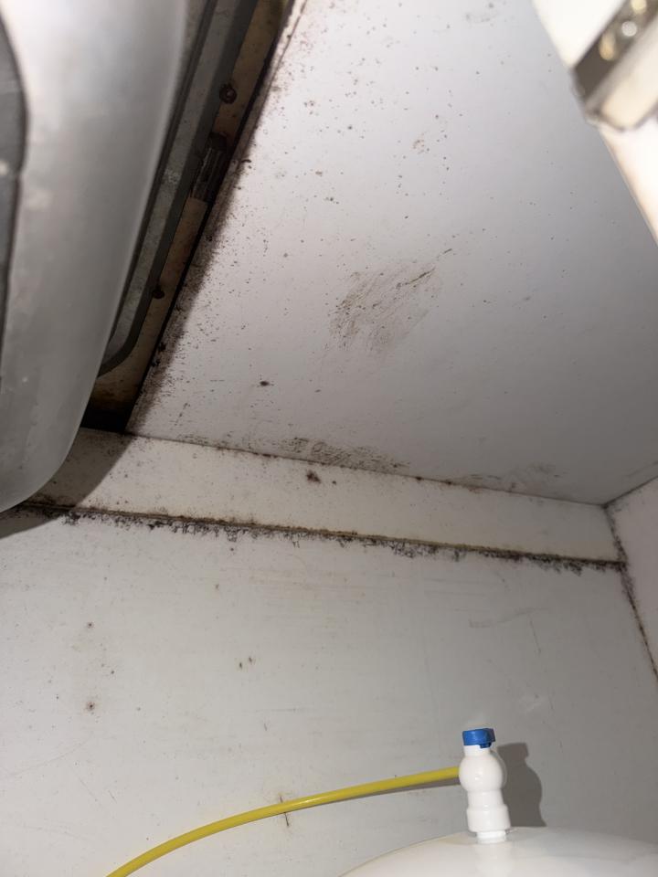 除霉案件圖片