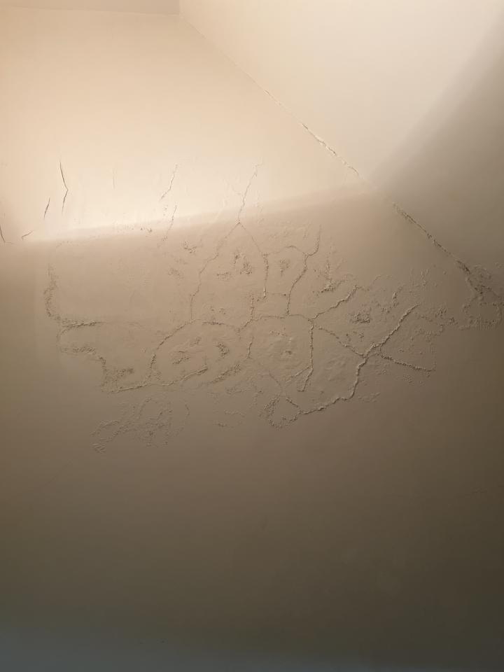 抓漏案件圖片