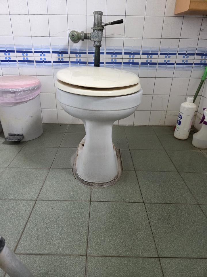馬桶裝修案件圖片
