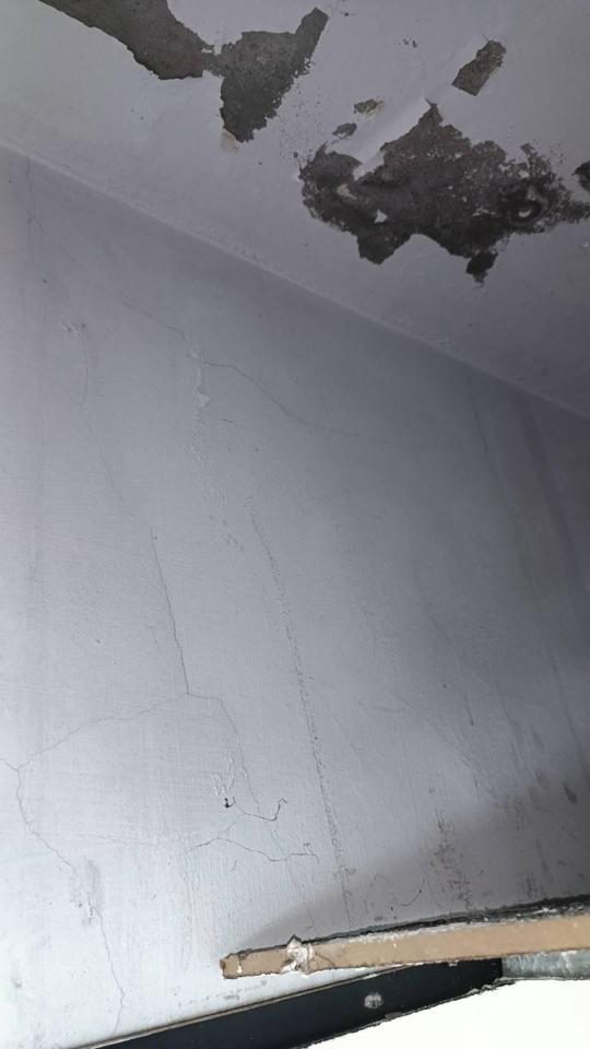 抓漏案件圖片