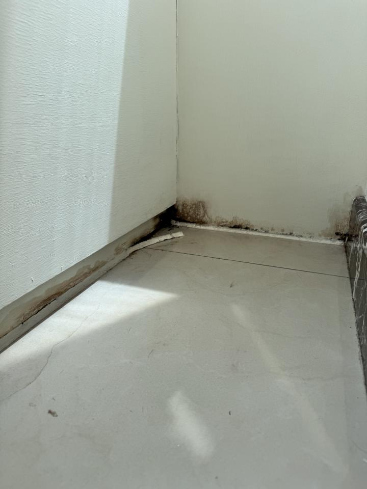 抓漏案件圖片