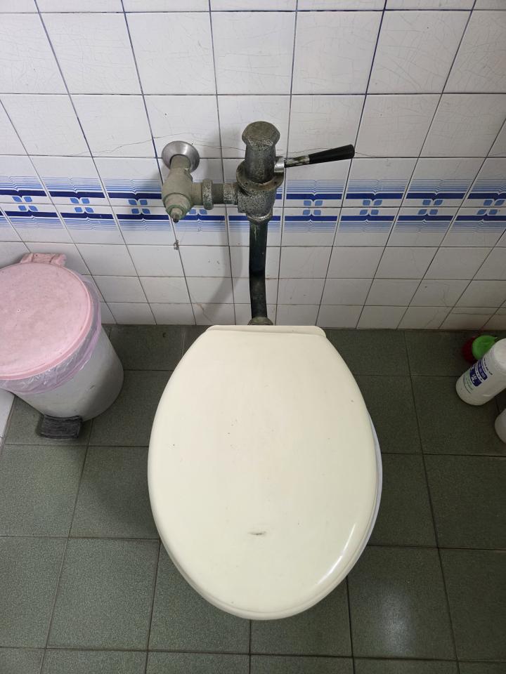 馬桶裝修案件圖片