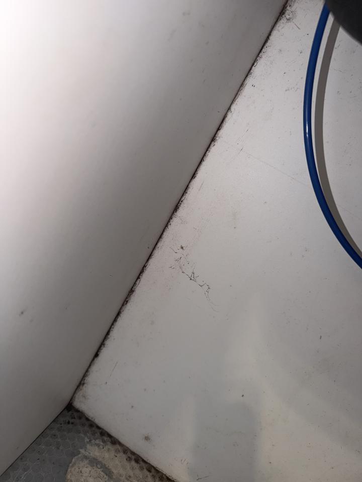 除霉案件圖片