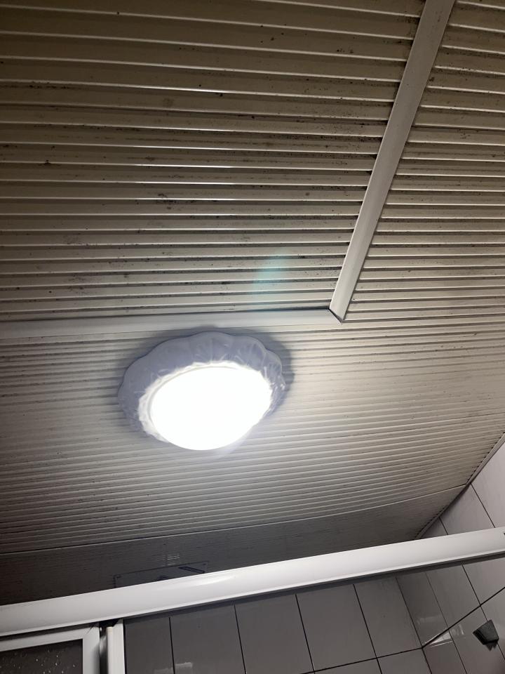 浴室翻新案件圖片