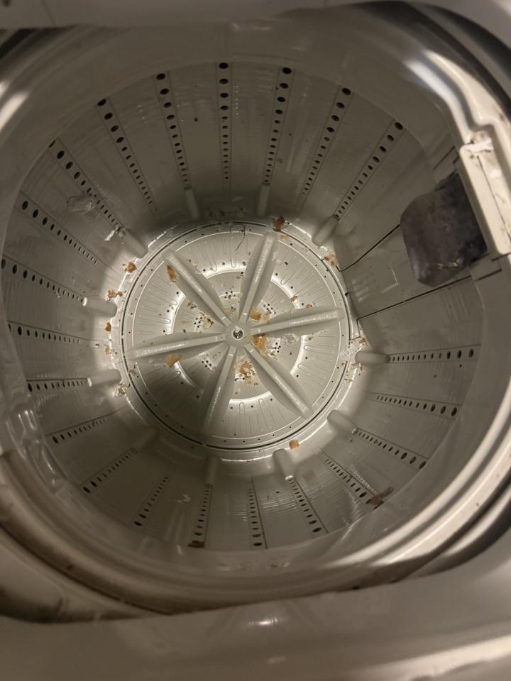 洗衣機清洗案件圖片