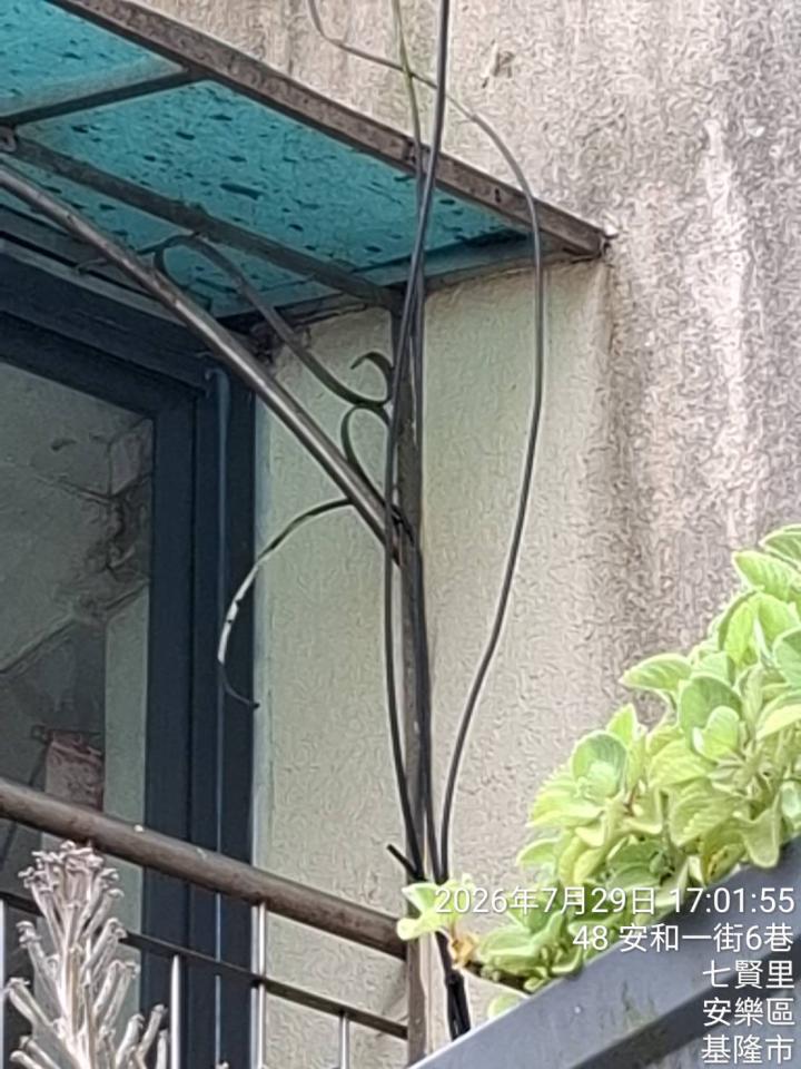 漏水處理案件圖片