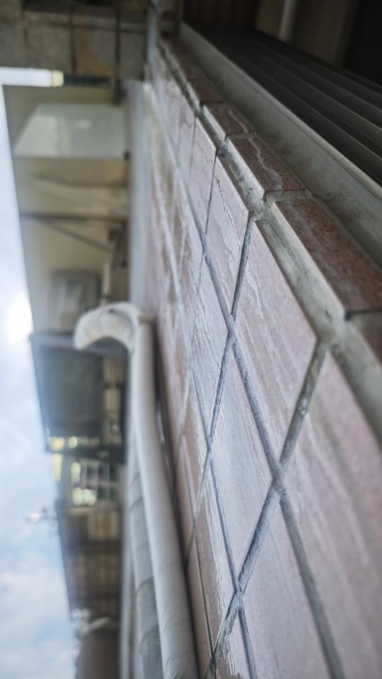 抓漏案件圖片