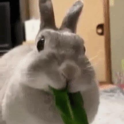 劉承牧