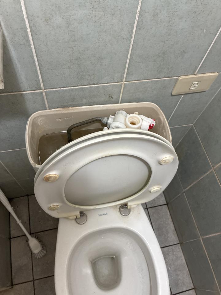 馬桶裝修案件圖片
