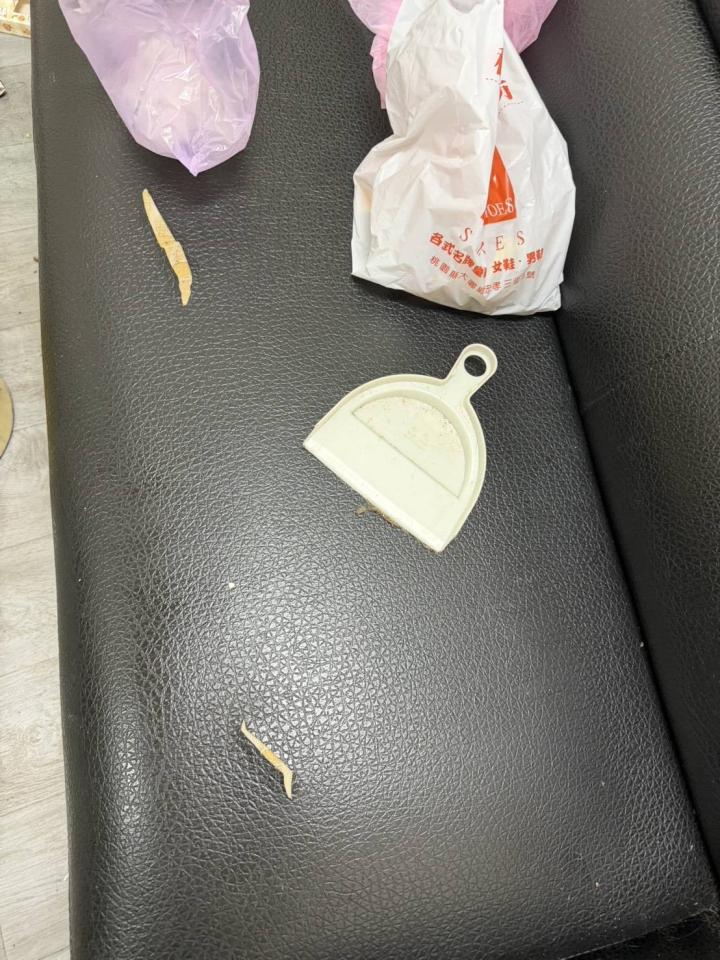 沙發修理案件圖片
