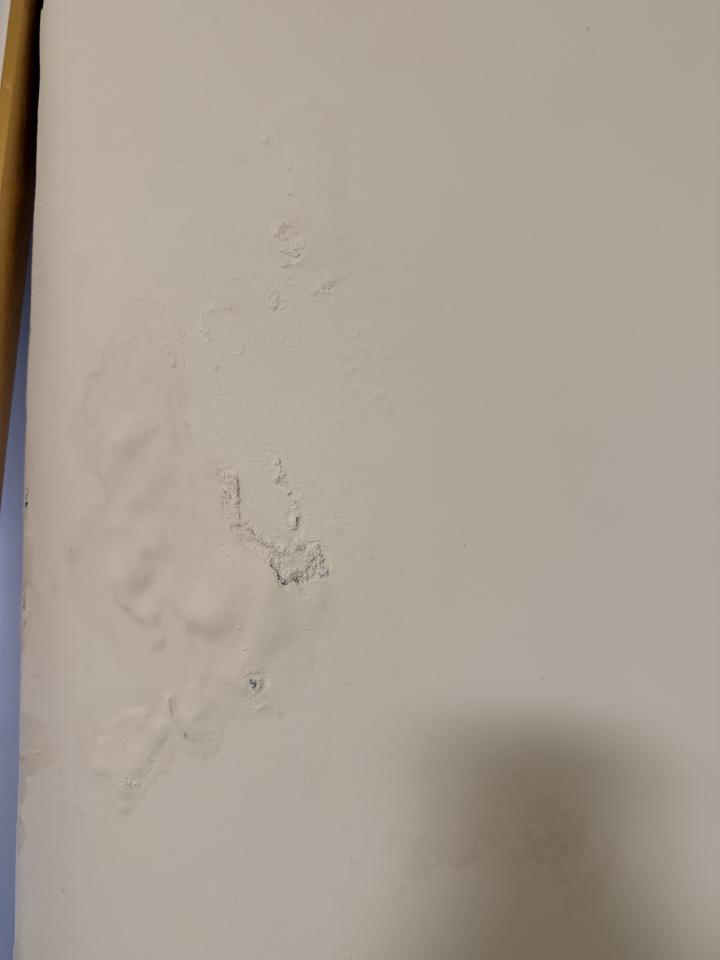 抓漏案件圖片