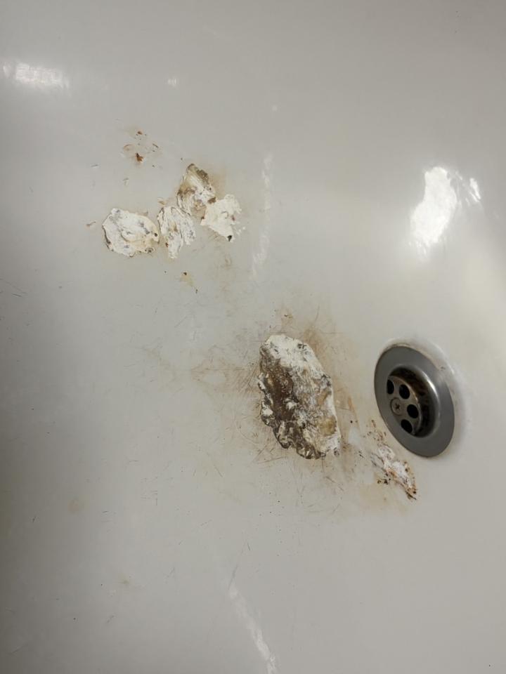 浴缸與淋浴裝修案件圖片
