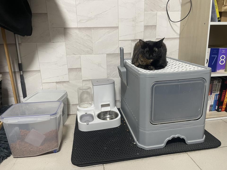 回頭車案件圖片