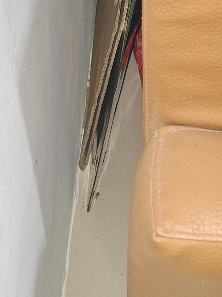 搬家清潔案件圖片