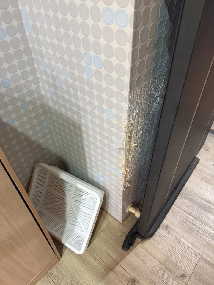 壁紙施工案件圖片