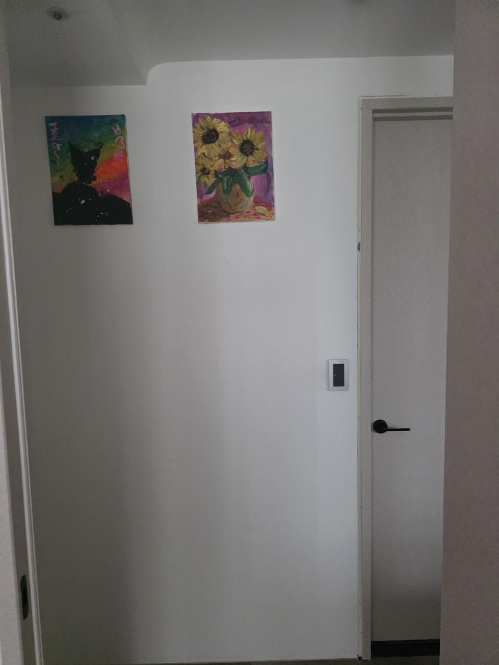 油漆工程案件圖片