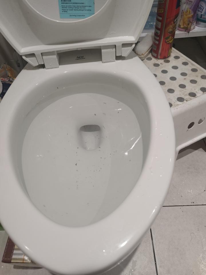 馬桶裝修案件圖片